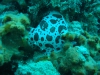 DSC05617-WEB