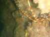 DSC05622-WEB