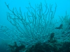 DSC05632-WEB