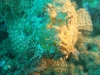 DSC05634-WEB