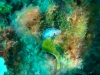 DSC05652-WEB
