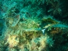 DSC05659-WEB