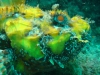 DSC05670-WEB