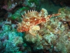 DSC05453-WEB