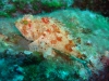 DSC05454-WEB