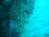 DSC05458-WEB