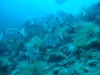 DSC05474-WEB