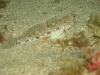 DSC05478-WEB