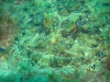 DSC03247-2