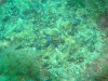 DSC03252-2