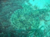 DSC03255-2