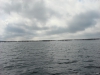DSC05310-WEB