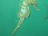 DSC05340-WEB