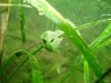 DSC05346-WEB