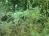 DSC05360-WEB