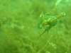 DSC05366-WEB