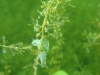 DSC05369-WEB