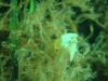 DSC05373-WEB
