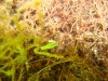 DSC05375-WEB