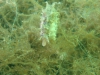 DSC05388-WEB
