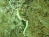 DSC05390-WEB