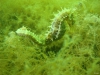 DSC05391-WEB
