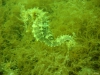 DSC05393-WEB