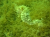 DSC05394-WEB