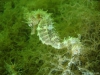 DSC05395-WEB