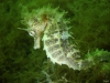 DSC05396-WEB