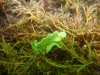 DSC05400-WEB
