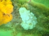 DSC05403-WEB