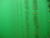 DSC05406-WEB