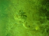 DSC05420-WEB
