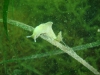 DSC05427-WEB