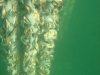 DSC05435-WEB