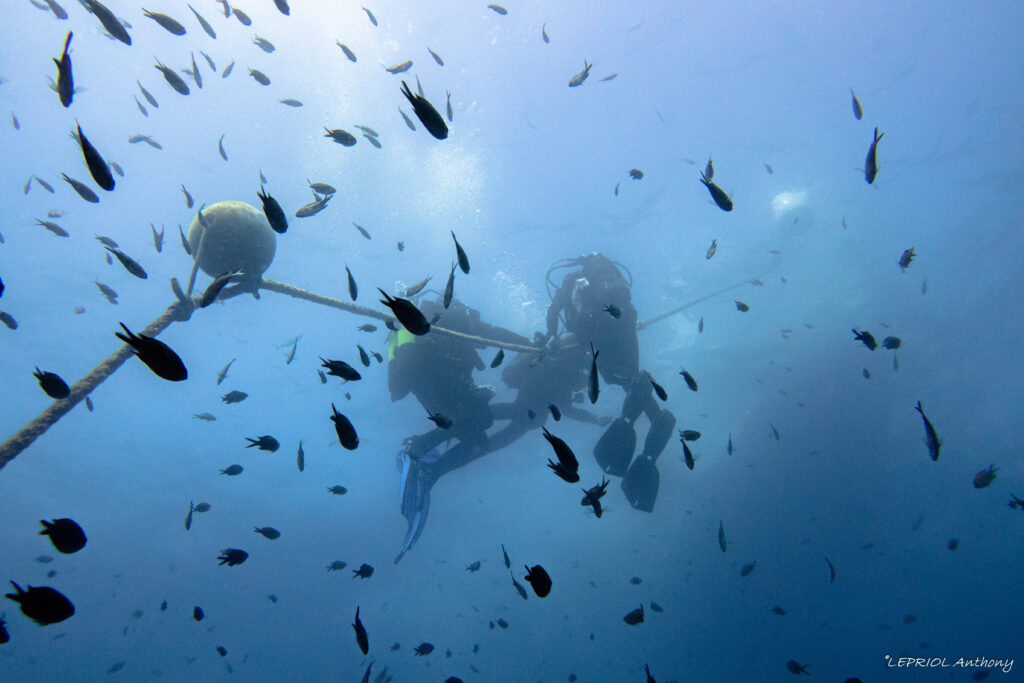 Sortie famille presqu'ile de Giens 2025